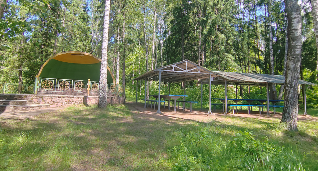 Лесное-1.jpg